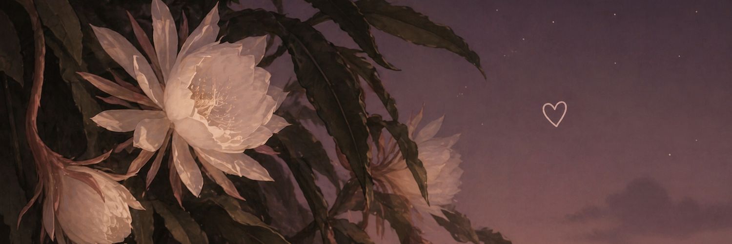 corilucci's profile banner image