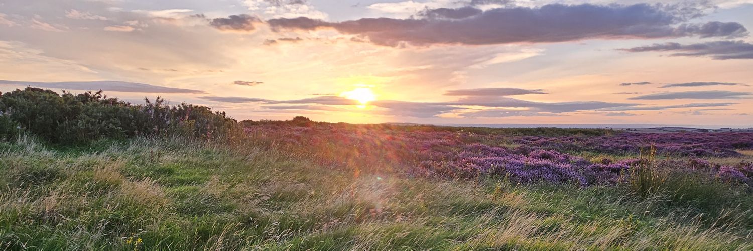 Emma-Louise Smith banner