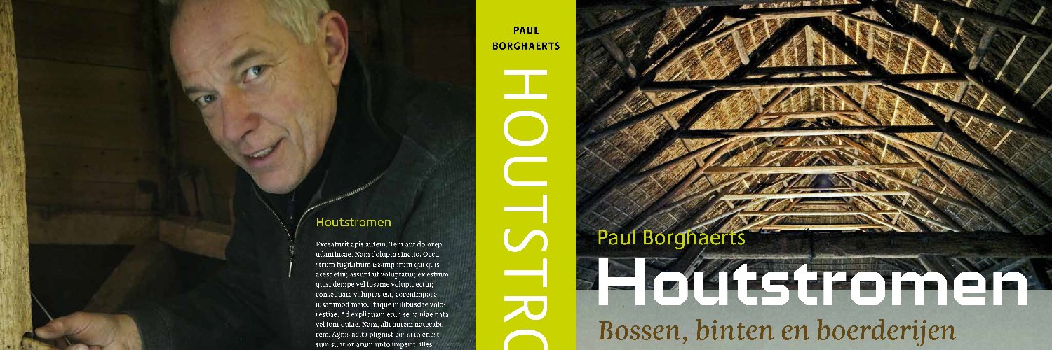 Paul Borghaerts banner
