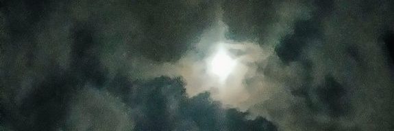 SandyLizthSP's profile banner image