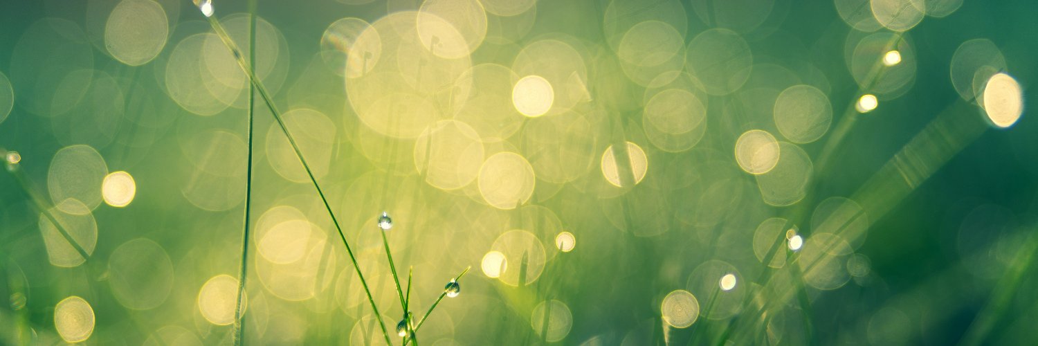 bioplat's profile banner image