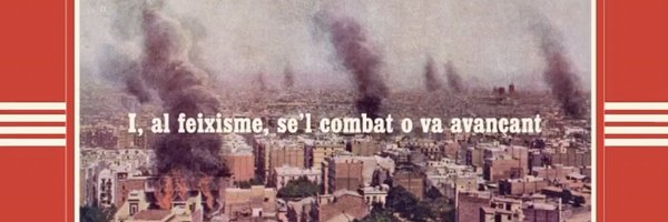 tindarisc Profile Banner