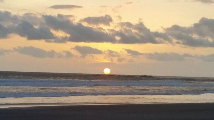 Leonora de Lemos banner