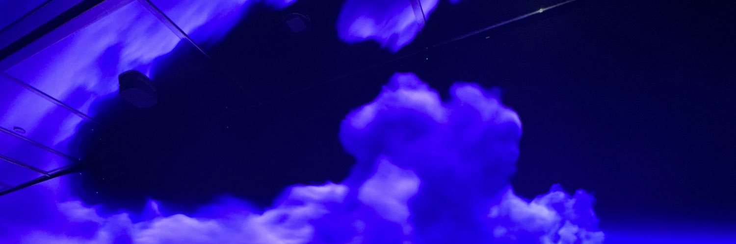 angelfissh's profile banner image