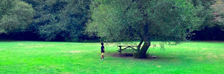 Psyk1709's profile banner image