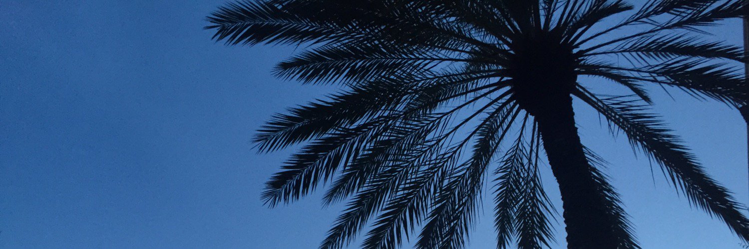 taraobrienPT's profile banner image
