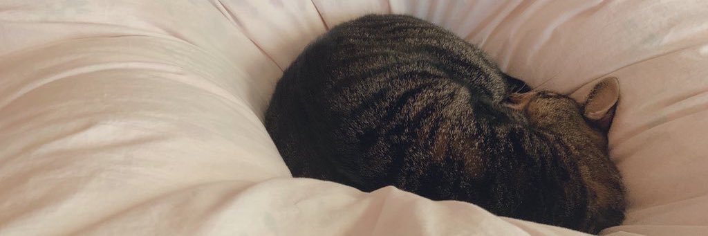 akarin_igo's profile banner image