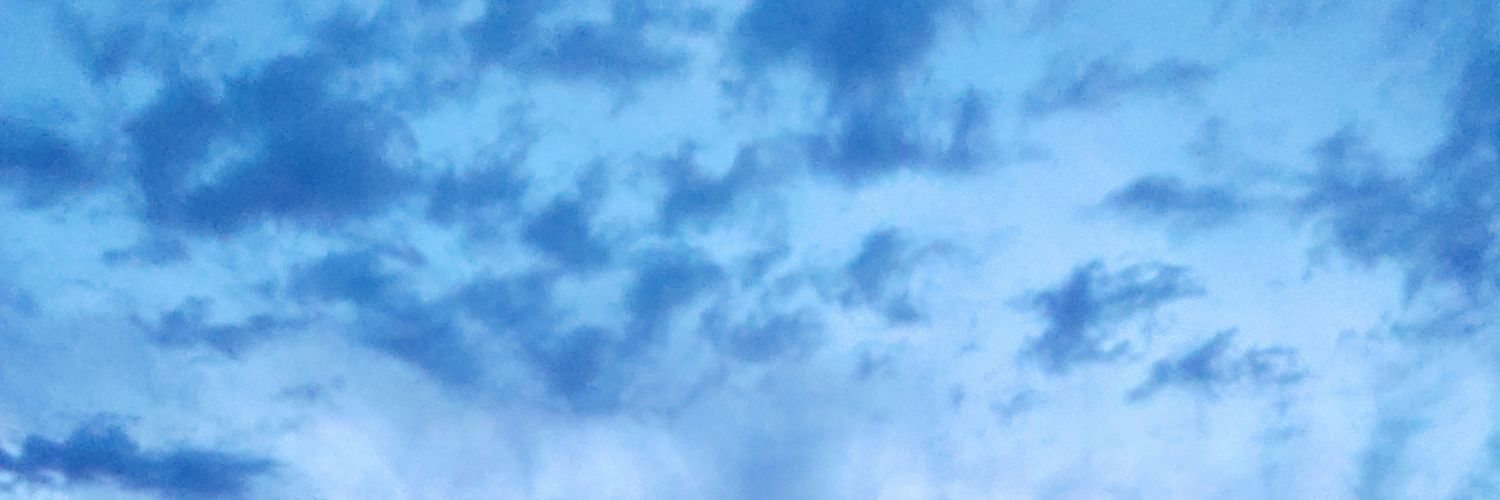 isingfornftspam's profile banner image