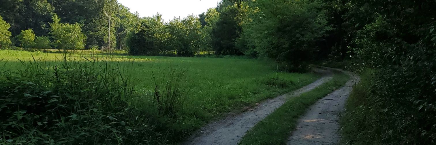 Ragebeast's profile banner image
