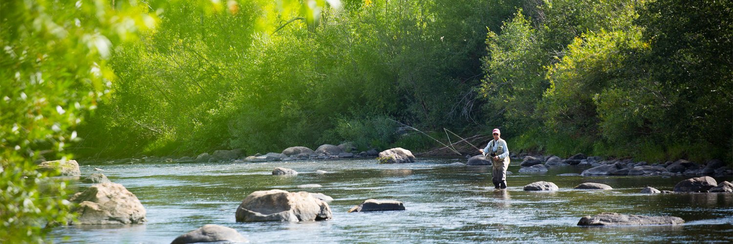 Conservative Caucus banner