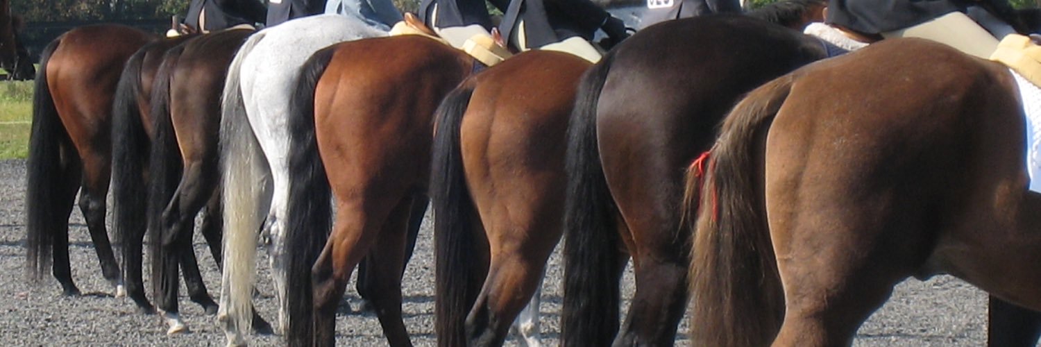 typeqal's profile banner image