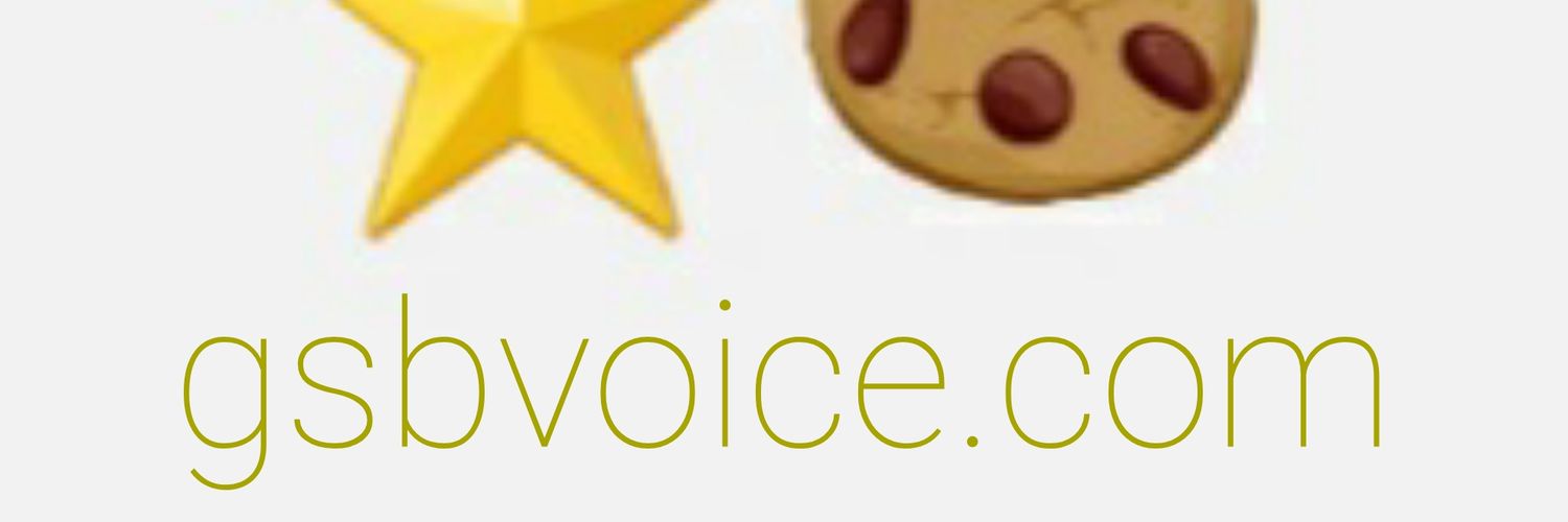 GSBVoice's profile banner image