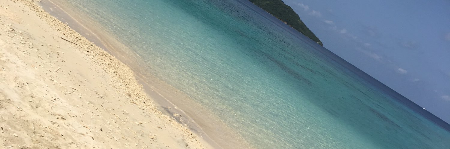 Ritsuki0930's profile banner image