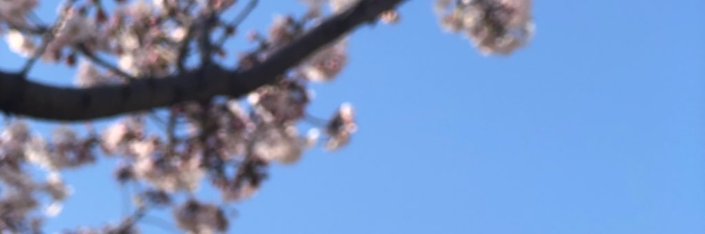 sib54924's profile banner image