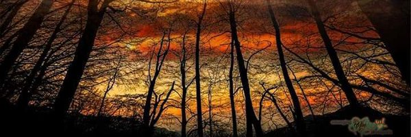 Phill6954 Profile Banner