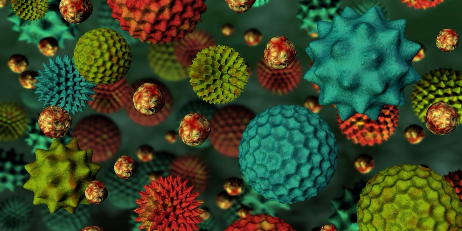 Allergy_Academy's profile banner image