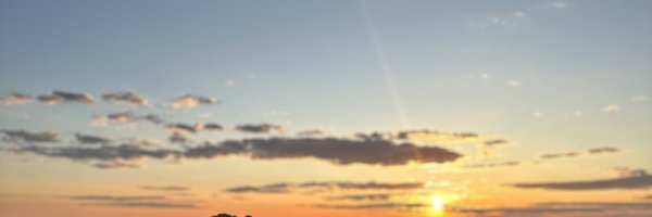 cheee_dinma Profile Banner