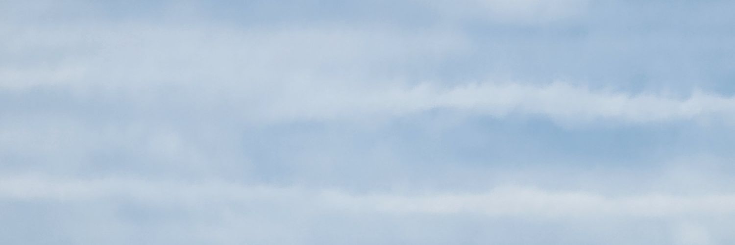 twittestwitte's profile banner image