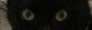 htchly's profile banner image
