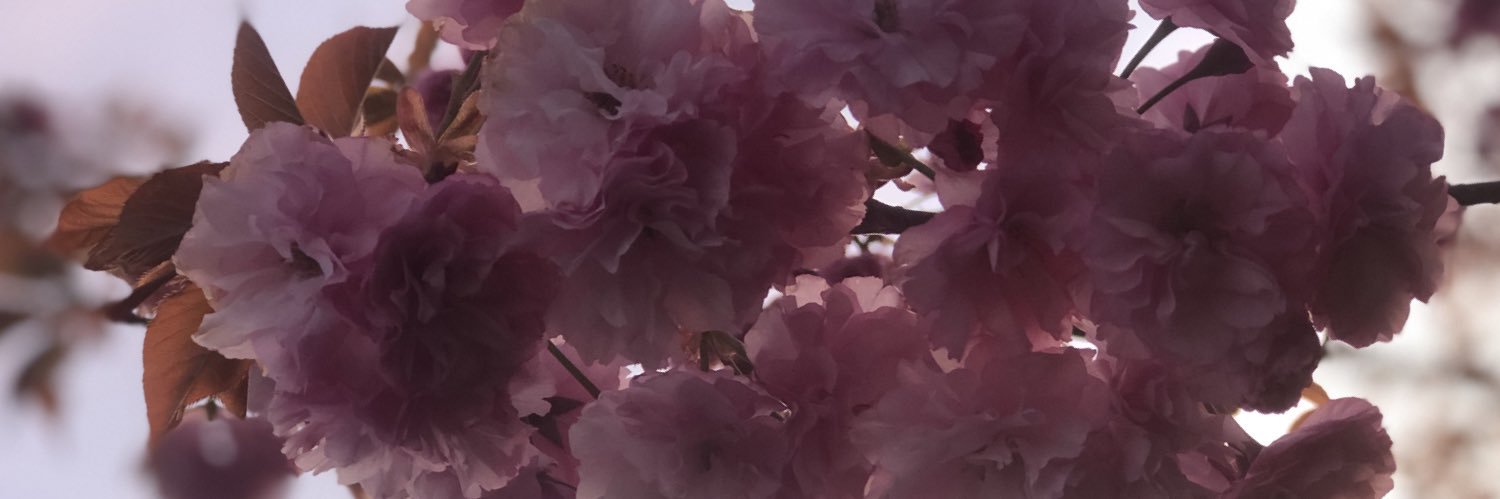 diversitea777's profile banner image