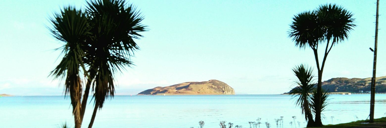 Cyriel Dessers Fan Account banner