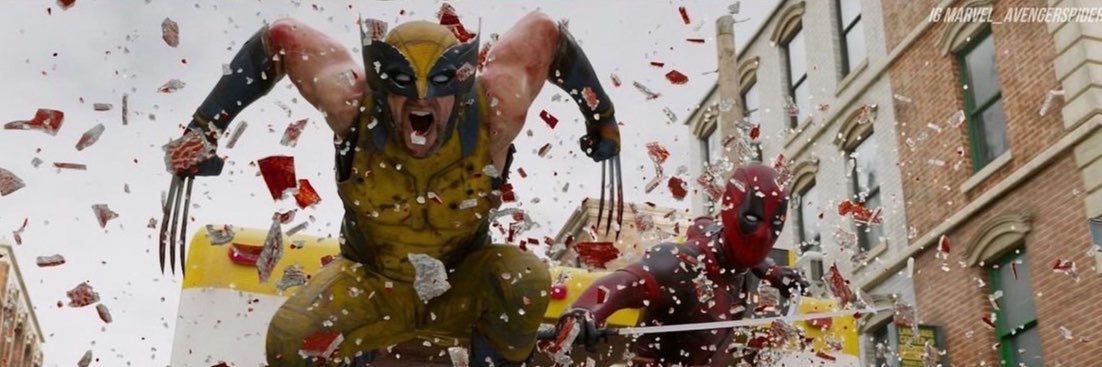 WolverSteve's profile banner image