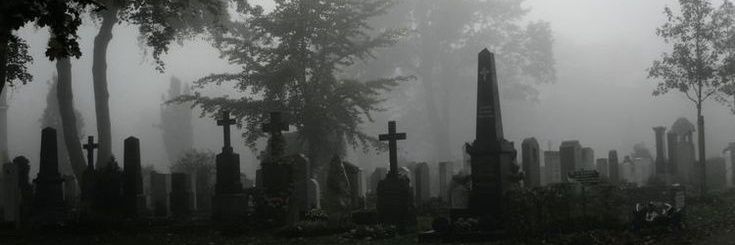 SugarComet🇨🇦 banner