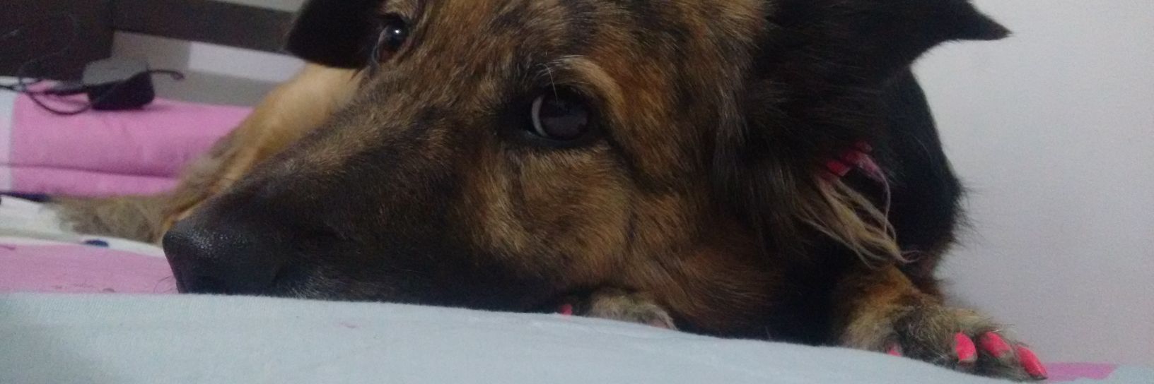 BethRamirez01's profile banner image