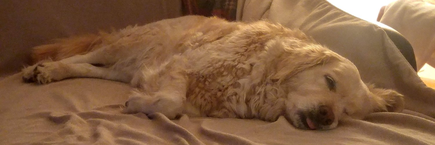 Jason Garramone banner