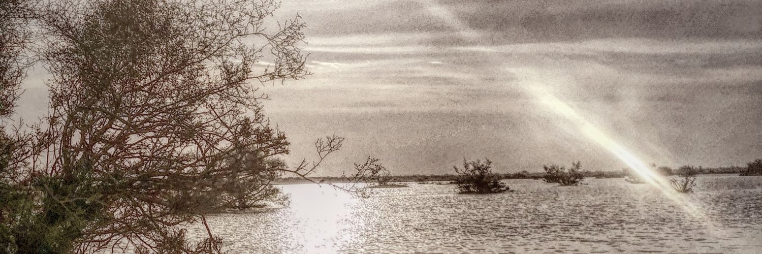 alskait00's profile banner image