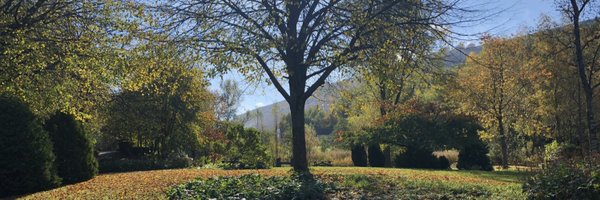 JoRose9 Profile Banner