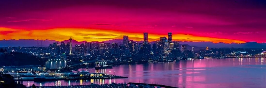 Senator Blutarsky banner