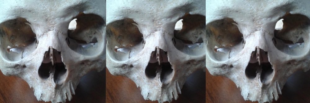 sericumsapiens's profile banner image