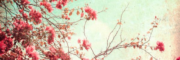 jackiesmallsx Profile Banner