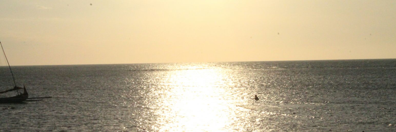 mega_danawi's profile banner image