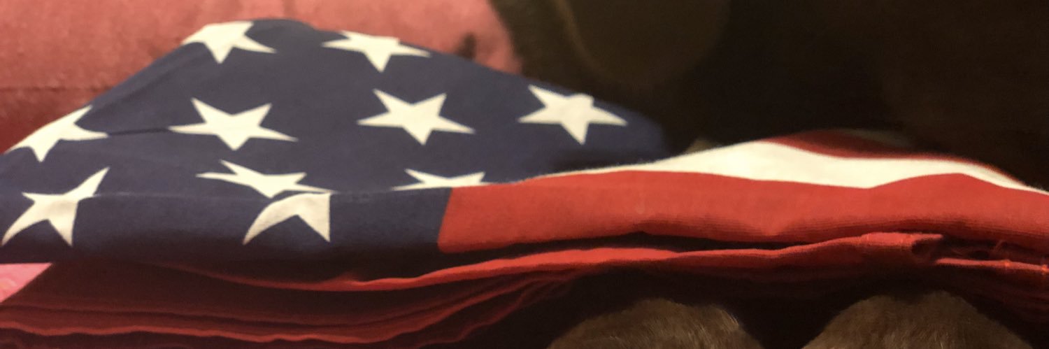 vonyanser's profile banner image