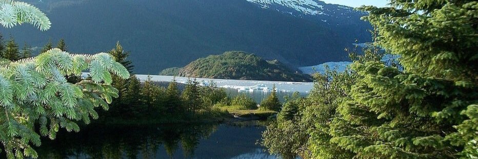 🇺🇸BLC🇺🇸 banner