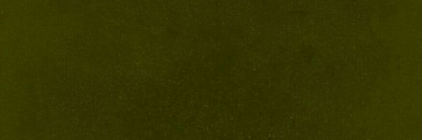 DAOUniversity's profile banner image