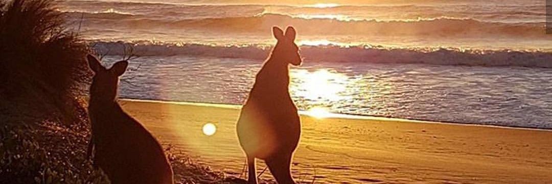 brogan_willaz's profile banner image