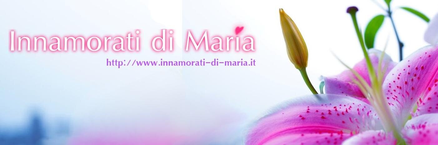 InndiMaria's profile banner image