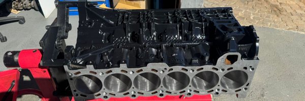 Themisgeese Profile Banner