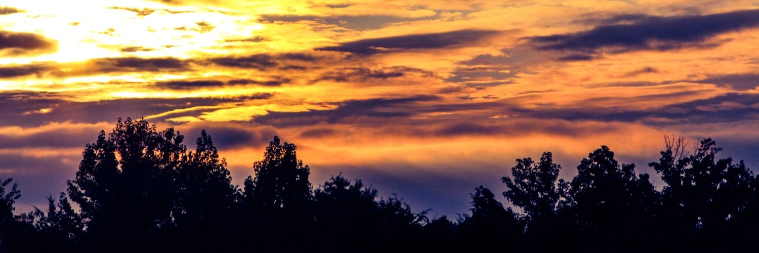 _cammuse's profile banner image