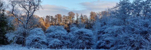 SDexterSmith Profile Banner