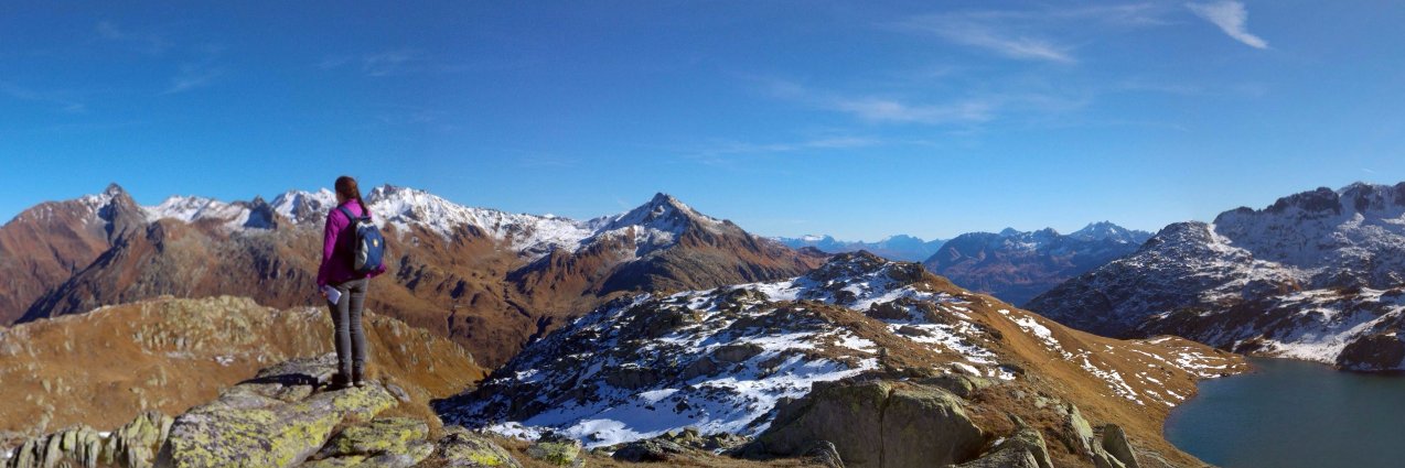 Paul Mac Eoin, PhD banner