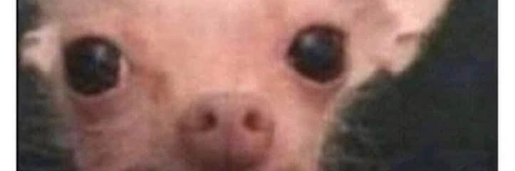 heru_wc's profile banner image