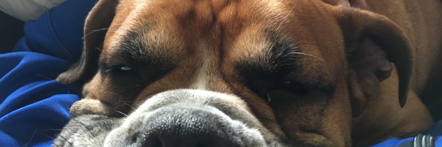 Thumpa6145's profile banner image