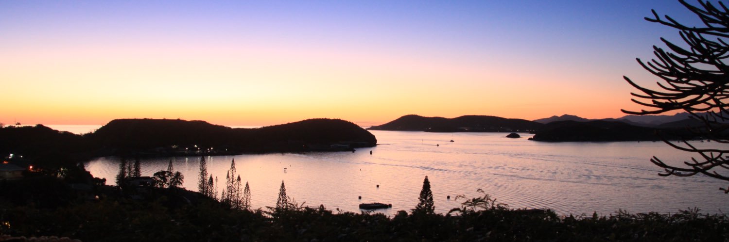 Ocyrhoe's profile banner image