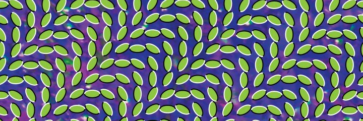 Mary_Kavanagh's profile banner image