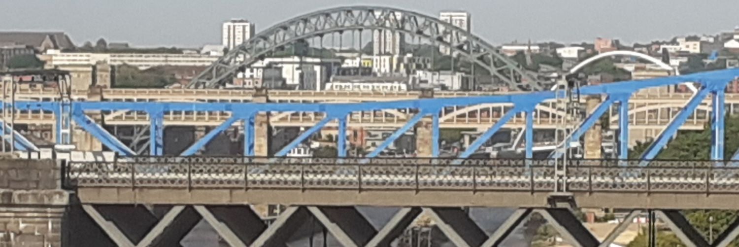 Rowan McCabe banner