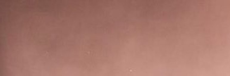 MELLETMAGIC's profile banner image